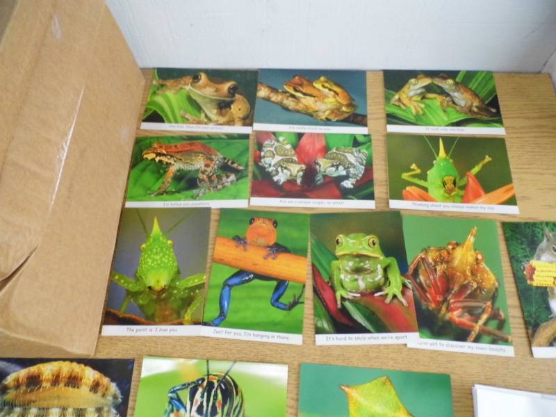 lot 63 image: Greeeting Cards