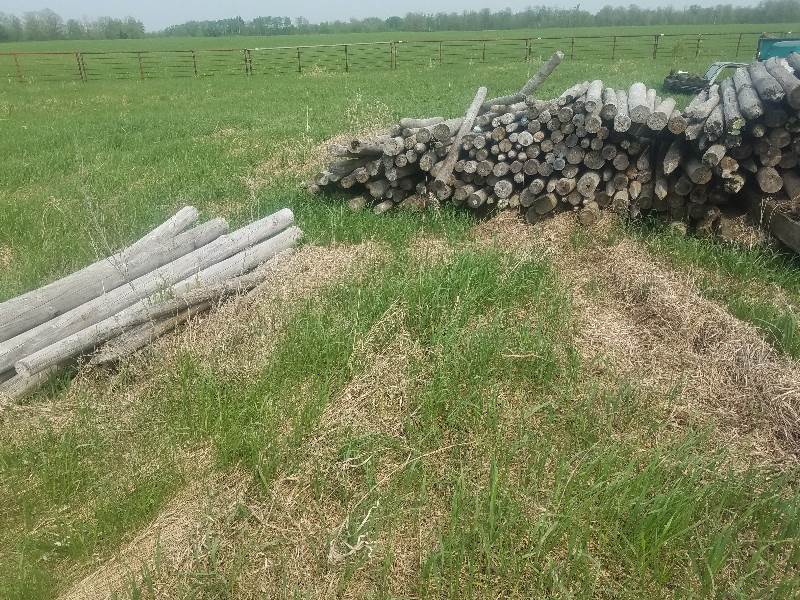 Railroad Ties &amp Fence Posts