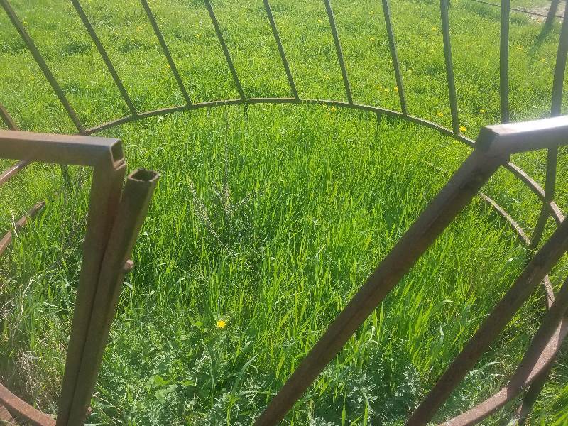 Cattle Feed Ring