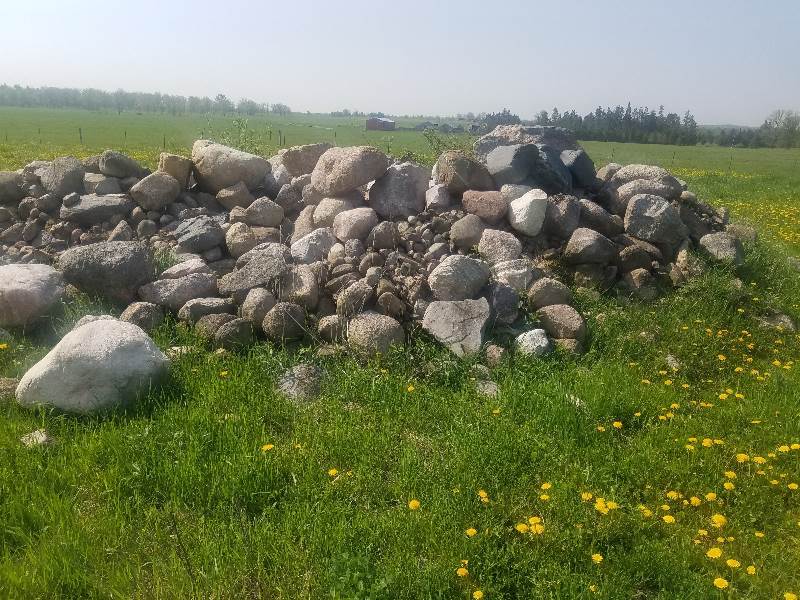 Assorted Rock