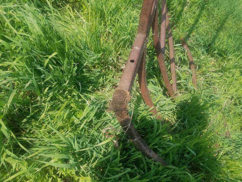 Hay Feed Ring