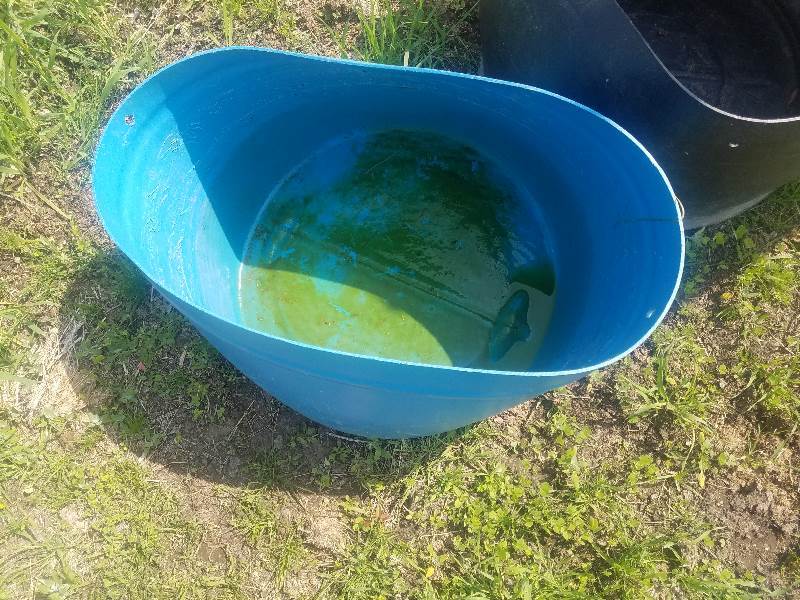 Utility Tubs