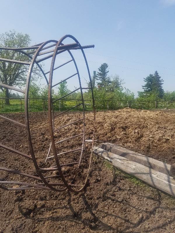 Cow Hay Feeder Ring
