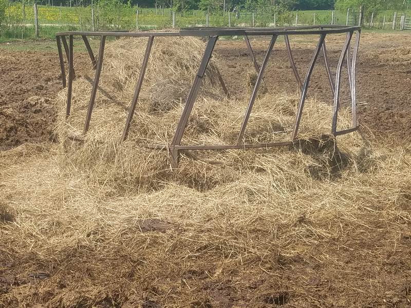 Cow Hay Feeder Ring Cattle And Farm Equipment K Bid