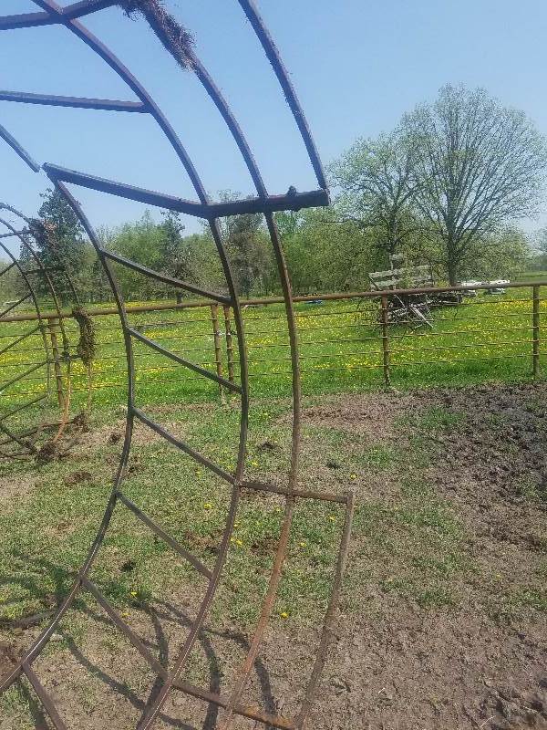 Cow Hay Feeder Ring