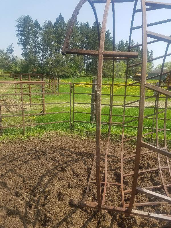 Calf Hay Feeder Ring