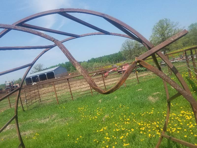 Bull Hay Feeder Ring
