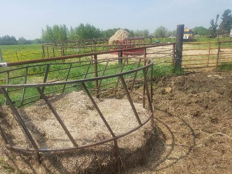 Cow Hay Feeder Ring