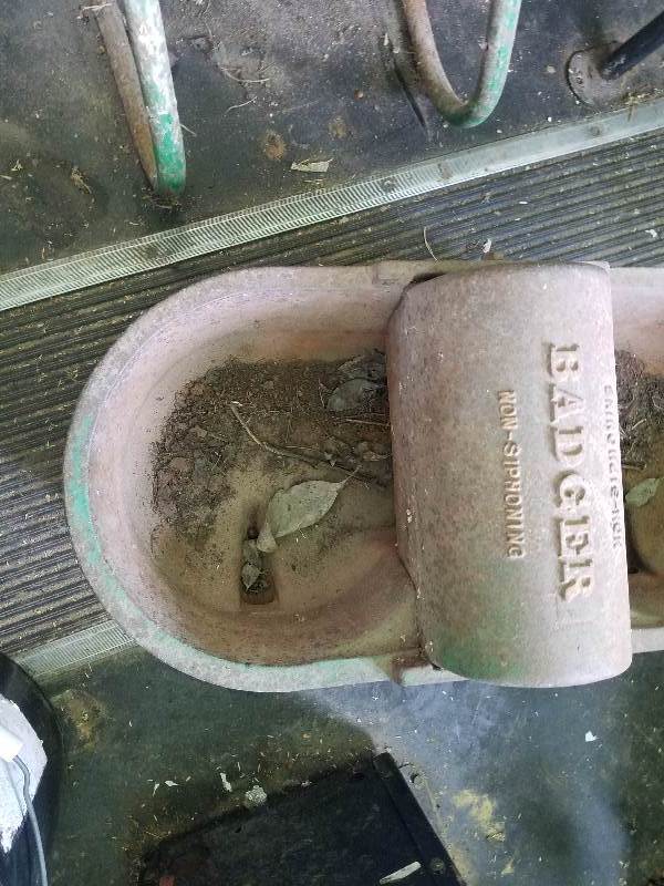 Badger Watering Trough