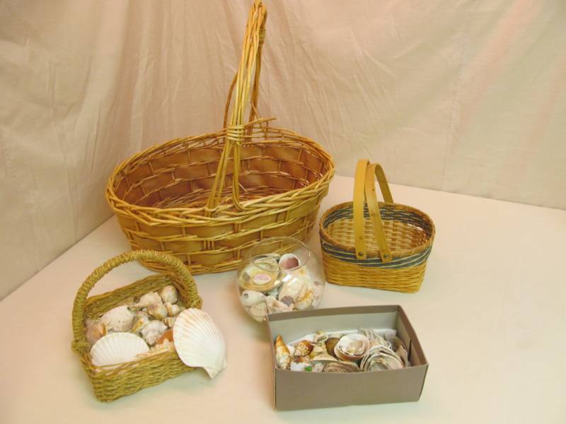 lot 60 image: Large Basket w 2 Smaller Baskets of Sea Shells