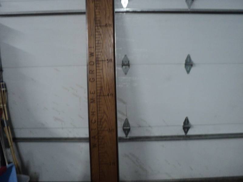 lot 32 image: Watch Me Grow 7 ft Board...