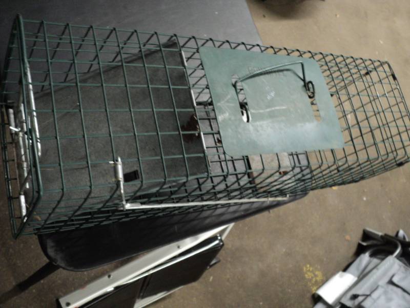 lot 68 image: Medium Size Live Metal Trap...
