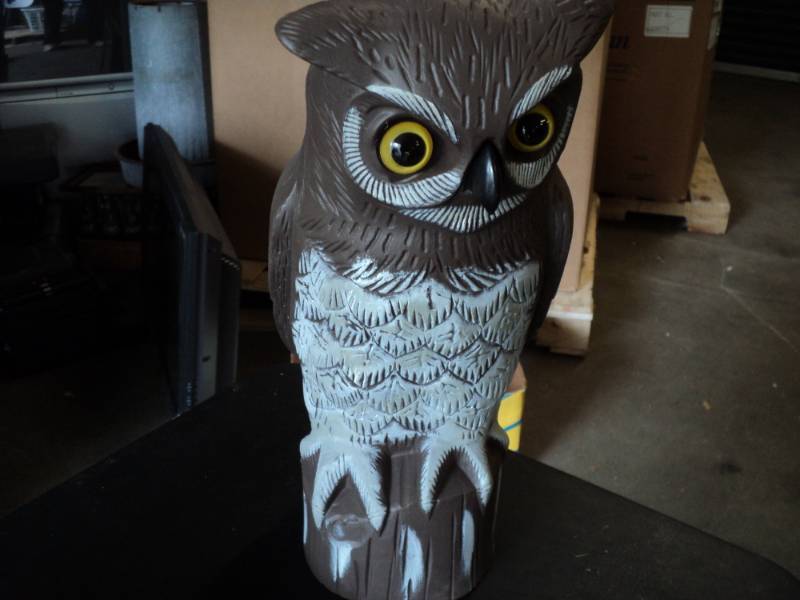 lot 164 image: 15 Tall Plastic Owl...