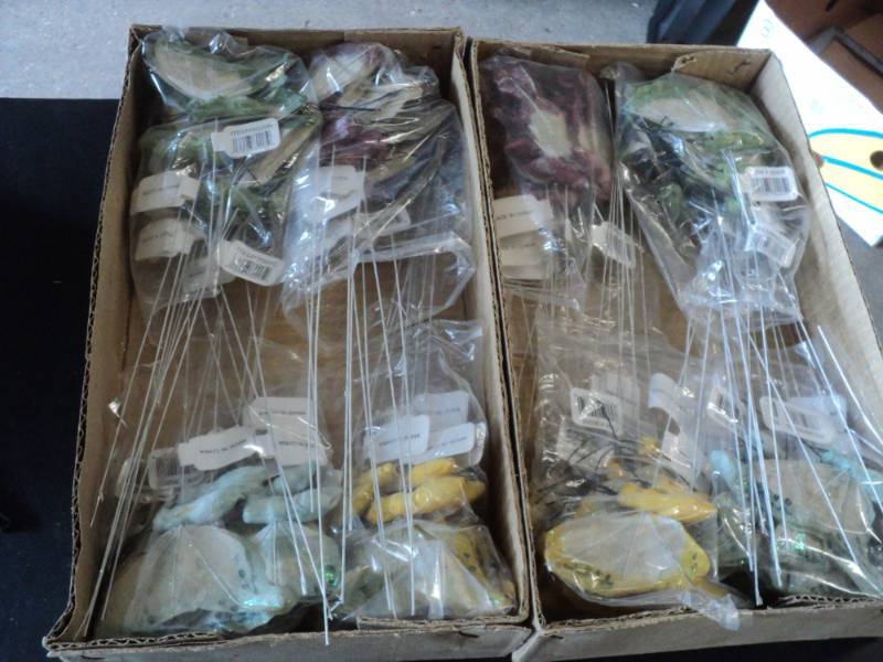 lot 194 image: 72 Butterfly Picks- 4 different col...