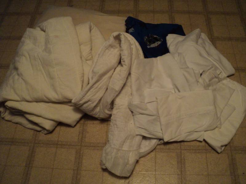 lot 272 image: Lot of Twin Size Mattress Pads and ...
