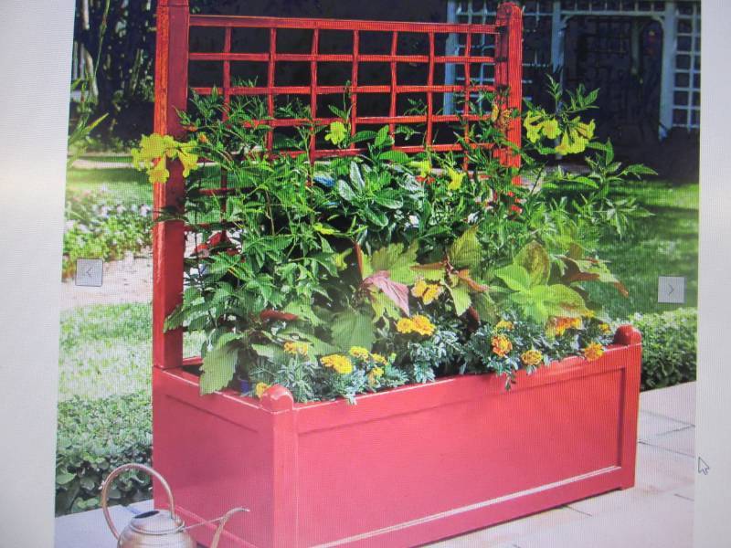 Large Trellis Planter open box Reta...