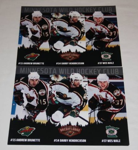 Minnesota Wild 8x10 Photo Wes Walz Auto