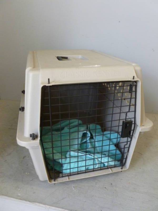 Pet Kennel