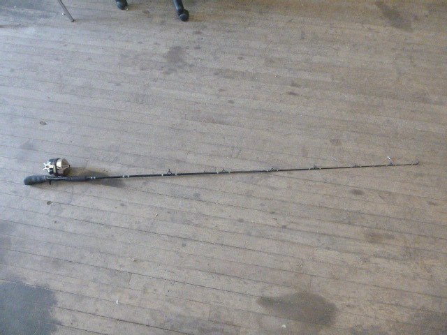 lot 56 image: Rod and Reel