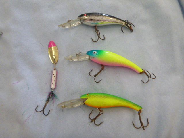 lot 109 image: 4 Hard Bait Lures