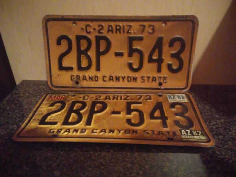 lot 19 image: 2 matching Arizona license plates - 1973.