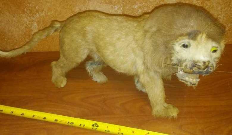 lot 27 image: Lion- clever work and great conversation piece.