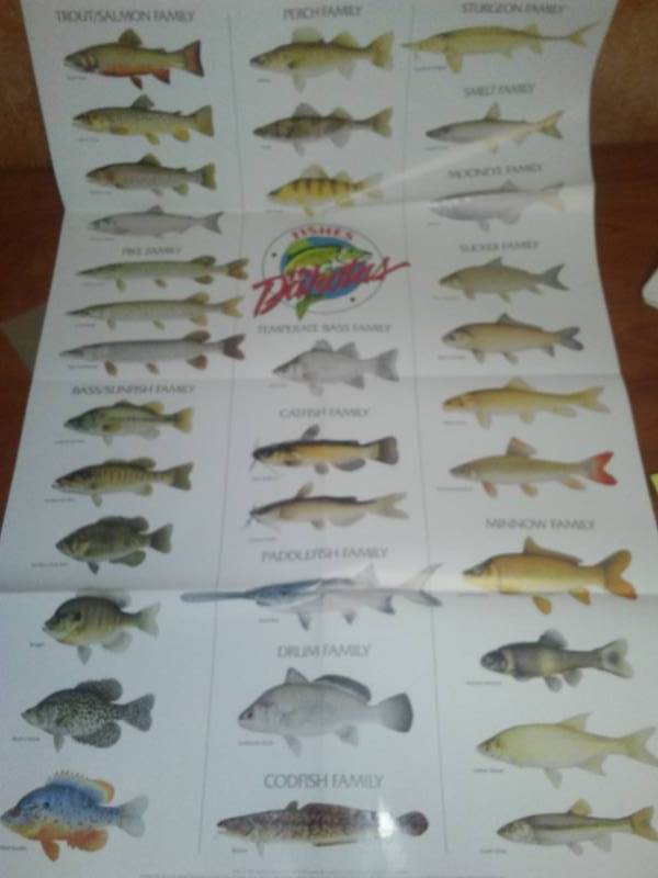 lot 106 image: Fishes of The Dakotas.