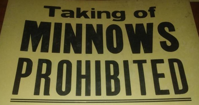 lot 140 image: 3 Taking of Minnows prohibited, 1938, 1940.