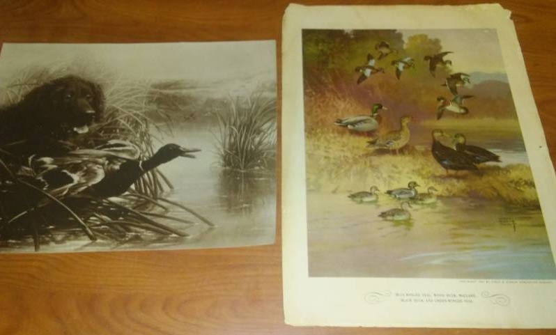 lot 142 image: 2 Wildlife prints.