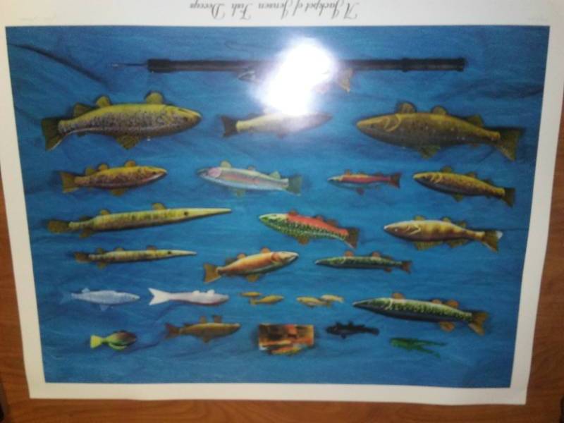 lot 198 image: Print Limited Edition #3961000  A Jackpot of Jensen Fish Decoys,