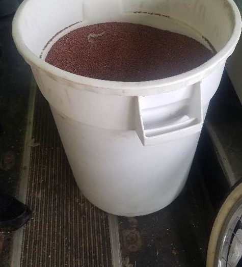 lot 17 image: Sorghum Sudan Grass Seed