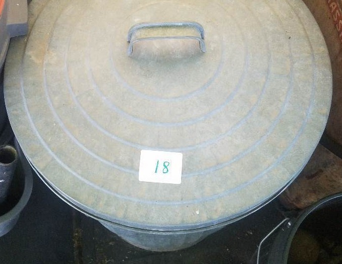 lot 18 image: Sorghum Sudan Grass Seed