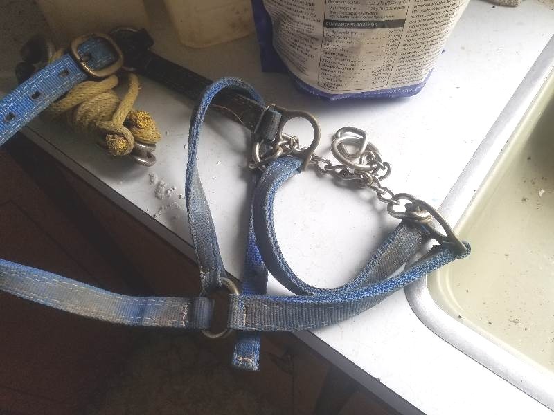 lot 42 image: Lead Harness, Nose Lead Tool, Milk Bottles and Calf Milk Replacer