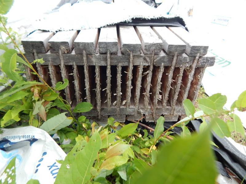 lot 196 image: Wood-I Joists 11-78 high x 32 long