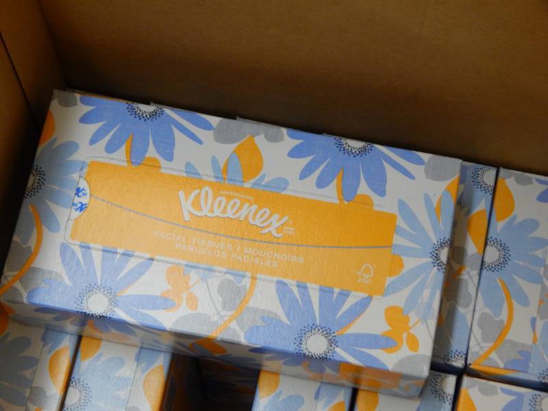 lot 215 image: Cleaning Supplies Lot