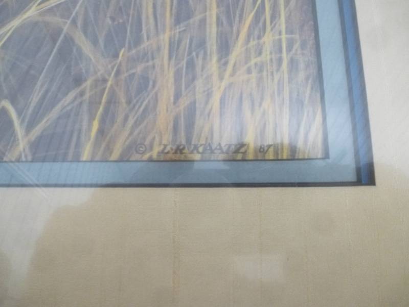 Pheasant Print