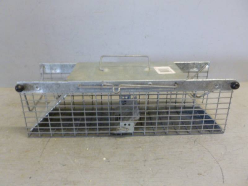 lot 89 image: Live Trap