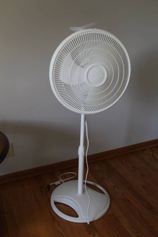 lot 173 image: Galaxy 3-Speed Oscillating Floor Stand Fan