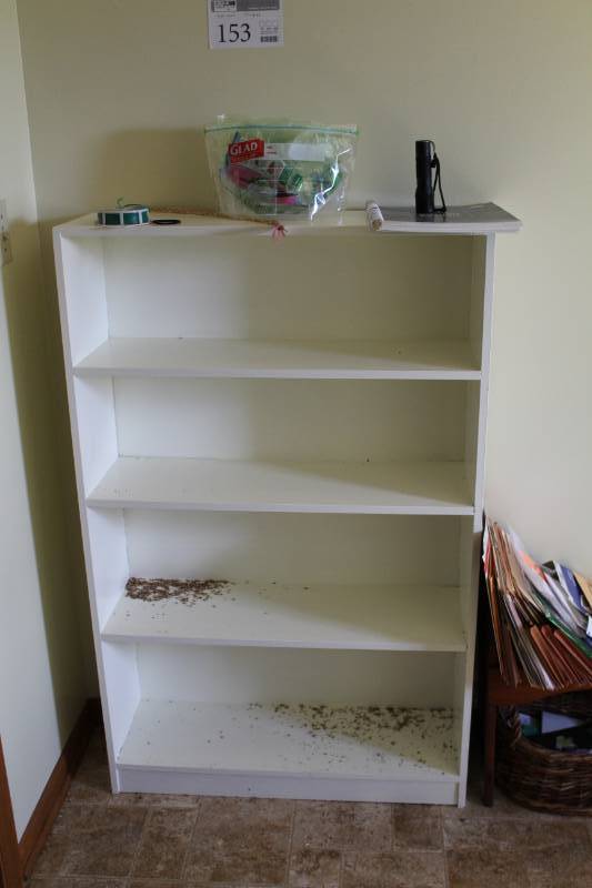 lot 153 image: Bookshelf with 4-Shelves