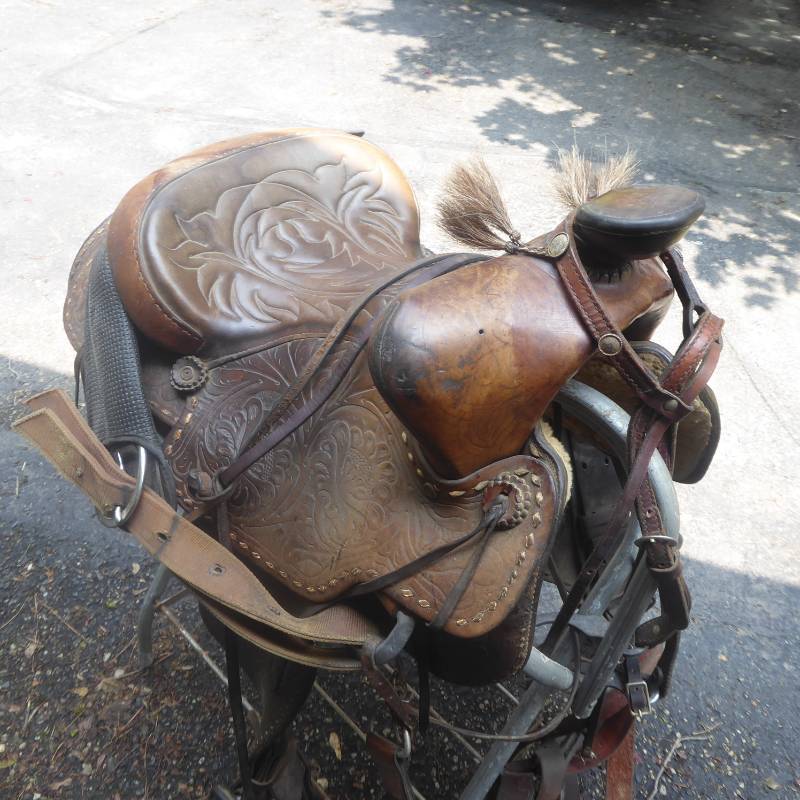 lot 54 image: Western Roping Saddle with Stand and Bridle