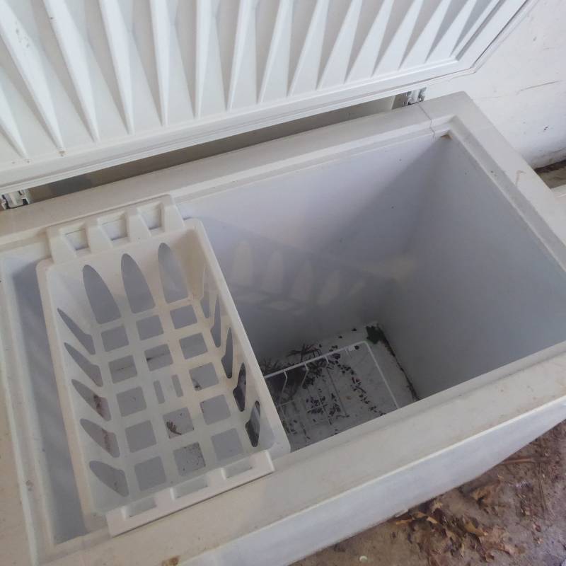 lot 74 image: Frigidaire Commercial Chest Freezer