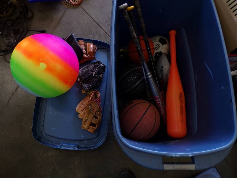 lot 204 image: Outdoor Sports Lot with Bats, Gloves, Balls and Tote with cover
