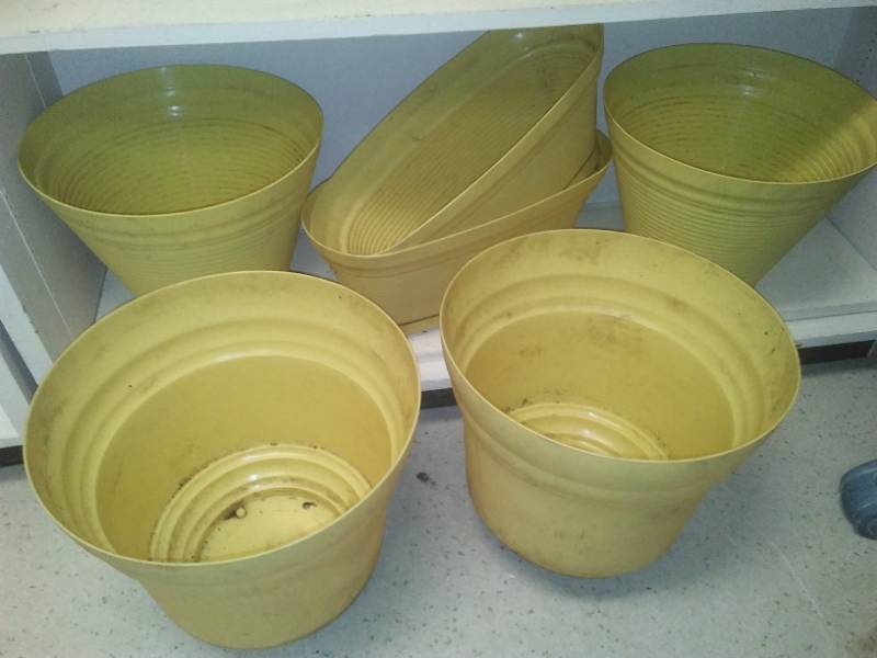 lot 223 image: 6 large plastic yellow planting pots