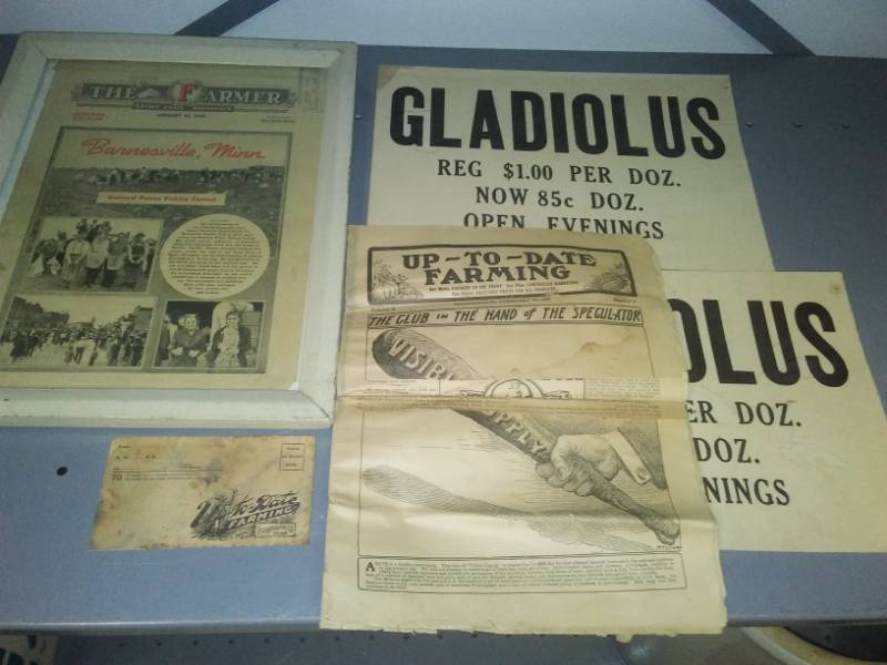 lot 285 image: 1907 newspaper, gladiolus Signs and More.
