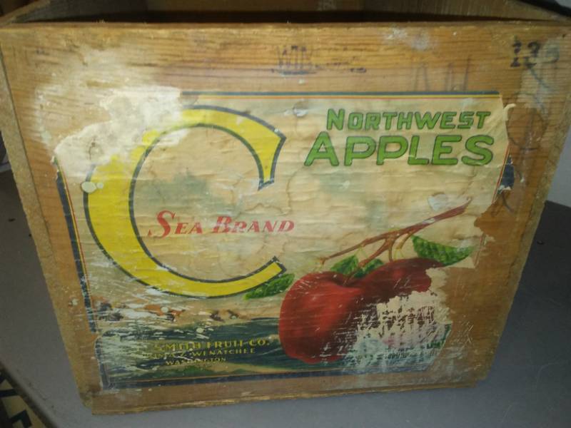 lot 340 image: Sea Brand C Northwest Wenatchee apples, Washington.