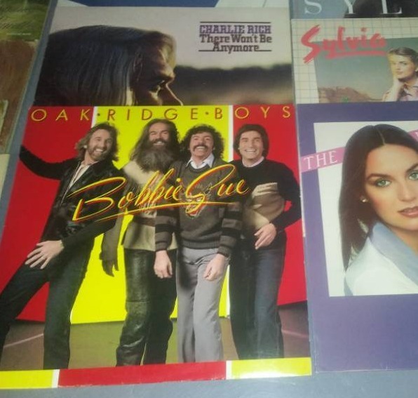 lot 365 image: 17  12 in Vinyl Record Albums.