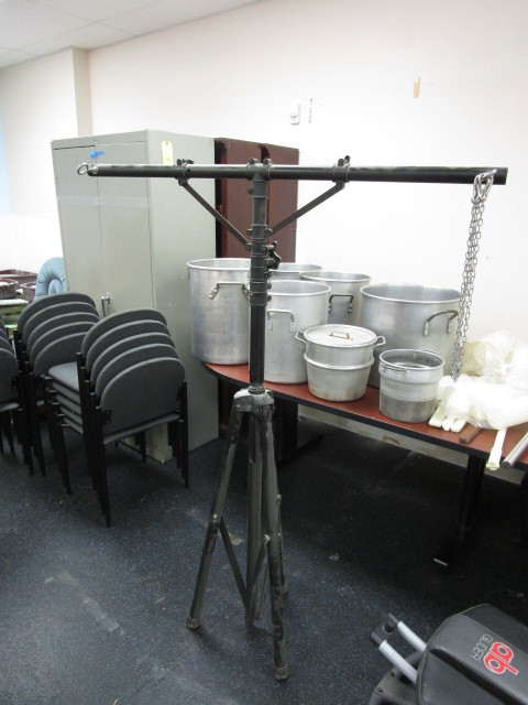 lot 173 image: THEATER LIGHT TREE