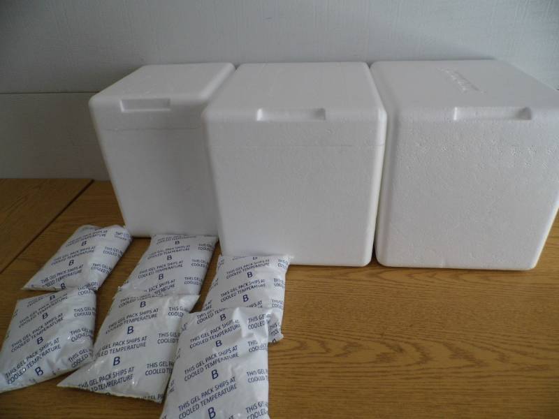 lot 4 image: Styrofoam Coolers w Ice Gel