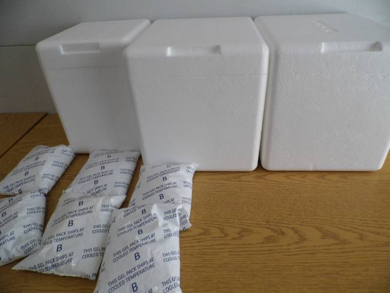 lot 5 image: Styrofoam Coolers w Ice Gel