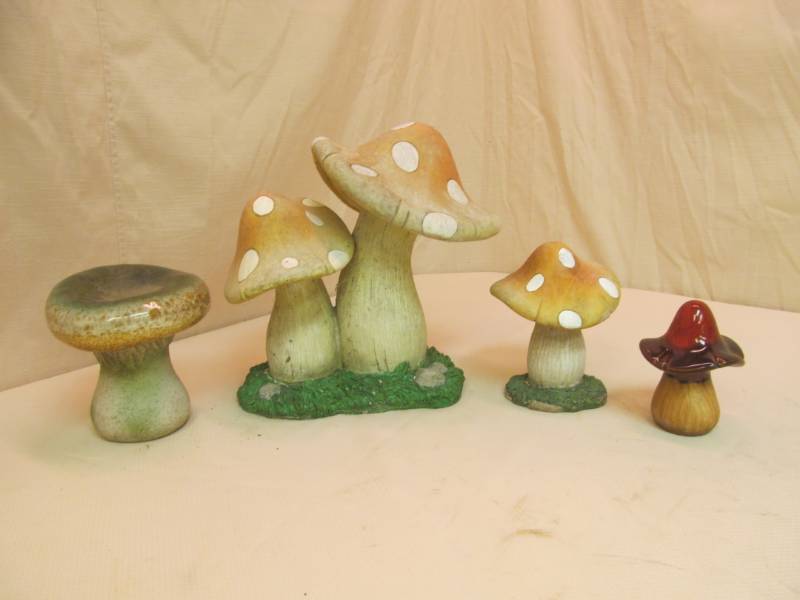 lot 235 image: Variety of Mushrooms